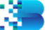 Biren Technology