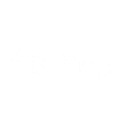 BizTrip AI