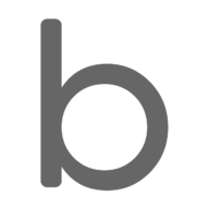 BrainChip