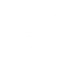 Farsight Vision