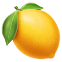 Lemon Slice