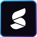 Summize